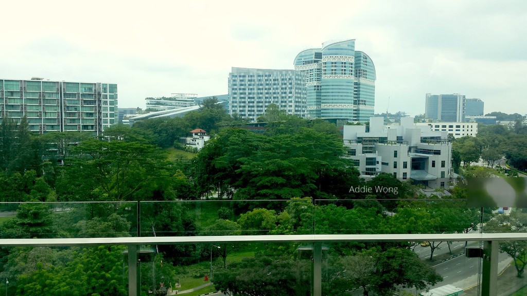 The Rochester Residences (D5), Apartment #151959332